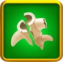 Animal Bone Advanced